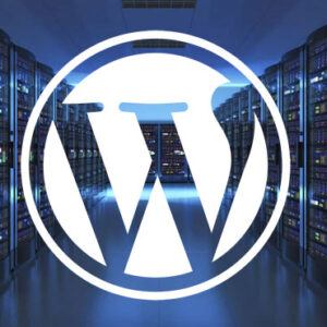 Best Wordpress Hosting Small Business "Turnkey"